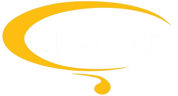 Çelik Oto Logo | Ankara Renault